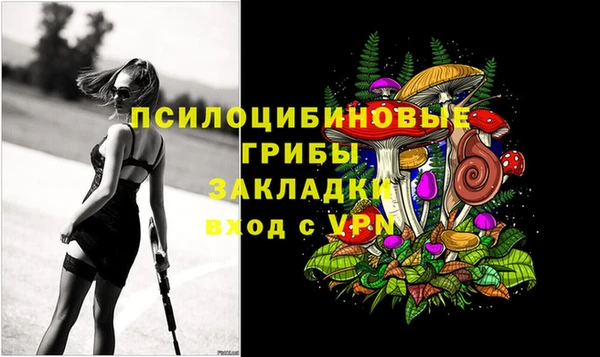 синтетический гашиш Алексеевка