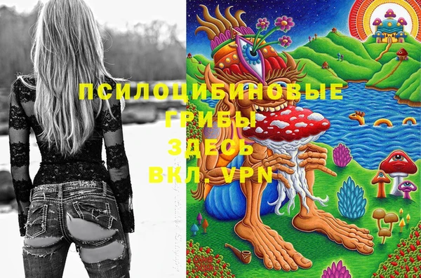 ешки Алексин