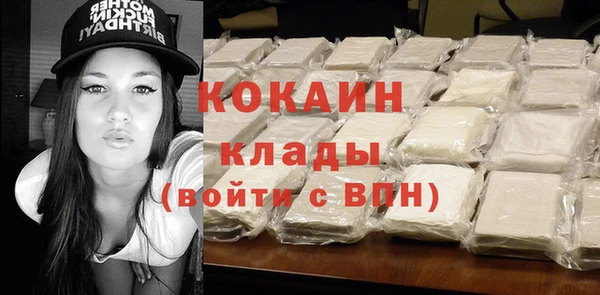 ешки Алексин