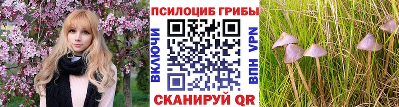 mega ТОР  Евпатория  Псилоцибиновые грибы GOLDEN TEACHER 